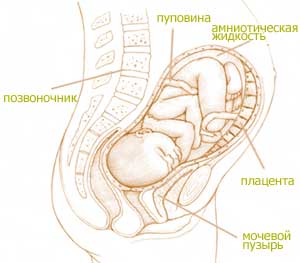 Давит желудок и ком при остеохондрозе