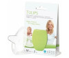  Ardo      Tulips