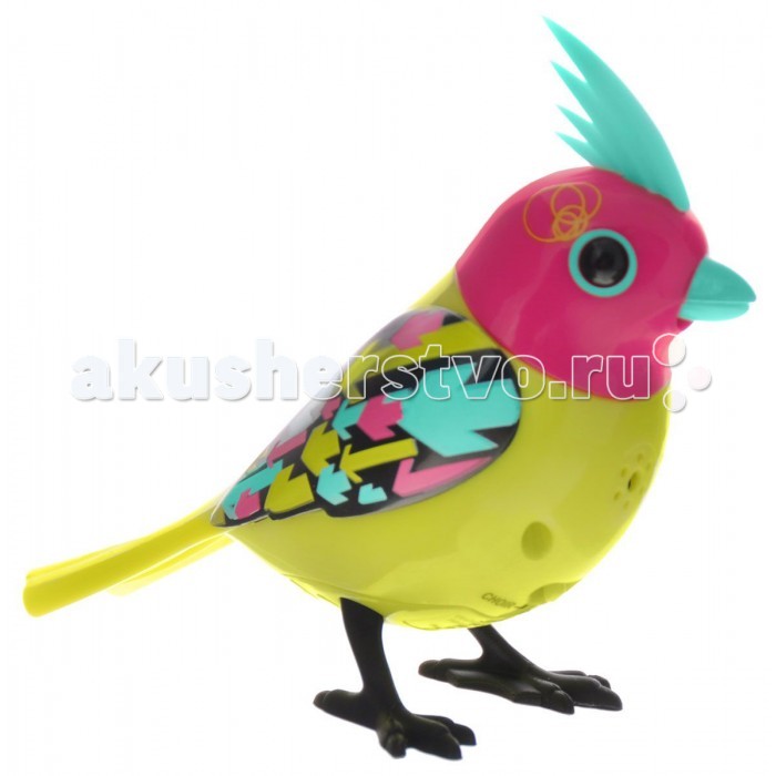 Интерактивная игрушка Digibirds Птичка с кольцомПтичка с кольцом Интерактивная игрушка Digibirds Птичка с кольцомПтичка с кольцомИнтерактивная игрушка DigiBirds Птичка с кольцом подарит крохе немало увлекательных игр. Особенности: Сама птица очень яркая, привлекающая внимание малыша, существует несколько вариантов окраски игрушки, но она всегда будет интересна для крохи. Кольцо, на котором сидит птичка, оснащено свистком, если в него подуть, можно услышать свист. Игрушка умеет издавать 20 разных звуков, но если скачать специальную программу для смартфона в Интернете, можно разблокировать еще 4 программы, а если выиграть в нескольких играх, можно получить еще 10 дополнительных звуков для птиц. Когда птичка издает звуки, у нее крутится голова и открывается клюв в такт. Птица может петь соло, но если у малыша их несколько, то они могут петь и хором благодаря сенсору для беспроводного общения. Такие животные помогают ребенку развивать музыкальный слух, цветовое восприятие и учат любить братьев наших меньших. Игрушка работает от 3 батареек типа LR44, которые находятся в комплекте. Размер птички: высота - 7 см Ширина анфас- 3,5 см Цвета в ассортименте<br>