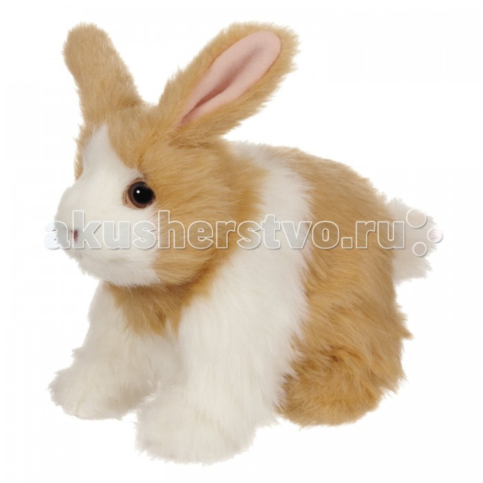 http://www.akusherstvo.ru/images/magaz/hasbro__belyj-49822.jpg