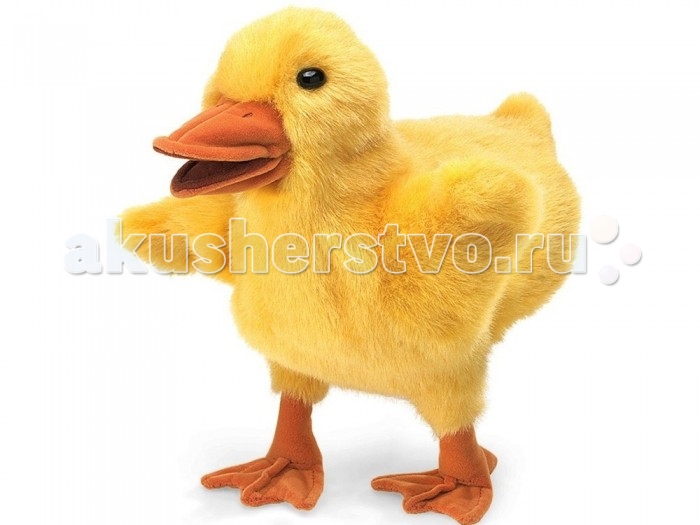 http://www.akusherstvo.ru/images/magaz/im101146.jpg