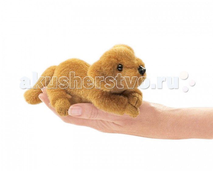http://www.akusherstvo.ru/images/magaz/im101152.jpg