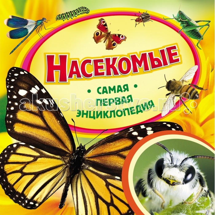 Росмэн Самая первая энциклопедия НасекомыеСамая первая энциклопедия Насекомые Росмэн Самая первая энциклопедия НасекомыеСамая первая энциклопедия НасекомыеРосмэн Самая первая энциклопедия Насекомые Эта великолепная серия познавательных книг для самых юных читателей дает ответы на множество вопросов об окружающем нас мире, которые так любят задавать дети. Самая первая энциклопедия - замечательный подарок и полезное пособие для занятий с детьми. Доступное изложение, яркие иллюстрации, занимательные рассказы, интересные факты. Познавайте мир с Самой первой энциклопедией! Размер: 225 х 225 x 7 мм Страниц: 36<br>