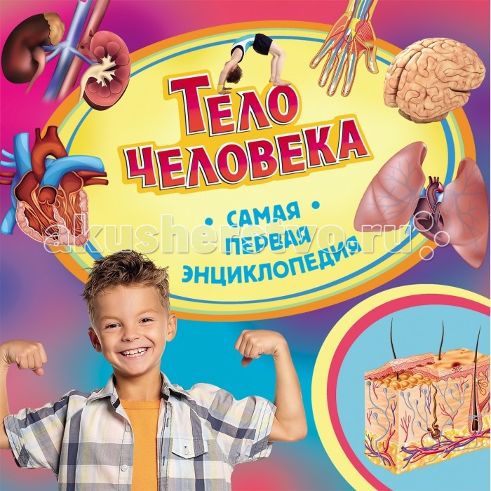 Росмэн Самая первая энциклопедия Тело человекаСамая первая энциклопедия Тело человека Росмэн Самая первая энциклопедия Тело человекаСамая первая энциклопедия Тело человекаРосмэн Самая первая энциклопедия Тело человека. Эта великолепная серия познавательных книг для самых юных читателей дает ответы на множество вопросов об окружающем нас мире, которые так любят задавать дети. Самая первая энциклопедия - замечательный подарок и полезное пособие для занятий с детьми. Доступное изложение, яркие иллюстрации, занимательные рассказы, интересные факты. Познавайте мир с Самой первой энциклопедией! Размер: 230 х 230 x 8 мм Страниц: 36<br>
