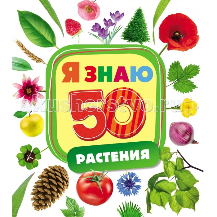 Росмэн Книжка РастенияКнижка Растения Росмэн Книжка РастенияКнижка РастенияКнижка Растения 26178 Книга об окружающем мире Растения из серии Я знаю поможет ребенку познакомиться с удивительным миром флоры. Цветы, ягоды, фрукты, овощи и многое другое – 50 самых разнообразных растений в одной книге с красочными фотоиллюстрациями. Книга большого формата на картоне содержит 10 стр. Хотите, чтобы ваш малыш поражал всех эрудицией? Книги серии Я знаю помогут вашему ребенку стать лидером на детской площадке и звездой на празднике в детском саду. Книги серии разработаны специалистами по раннему развитию с учетом возрастных особенностей детей. Они помогают освоить все самые популярные для раннего развития темы: от растений до загадок. Развивающие книги серии тренируют и улучшают память, расширяют кругозор, увеличивают словарный запас ребенка.<br>