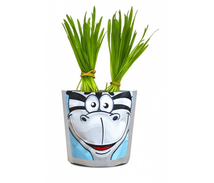 Happy Plant Набор для выращивания ЗебраНабор для выращивания Зебра Happy Plant Набор для выращивания ЗебраНабор для выращивания ЗебраНабор Зебра серии Сафари включает представляет собой герметичный пакет, субстрат для посадки и семена овса, который очень быстро вырастает. Через три дня после посадки уже готова густая и плотная травка. В процессе игры можно делать прическу своему зеленому питомцу: подстригать травку ножницами, создавая разные формы, завязывать резинками хвостики и даже заплетать зеленые косички. В набор входят: Герметичный пакет, выполняющий роль горшочка для растения. Органический субстрат для посадки семян. Семена. Посадочная лопатка.<br>