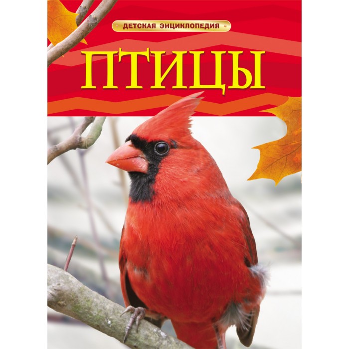 http://www.akusherstvo.ru/images/magaz/im134162.jpg