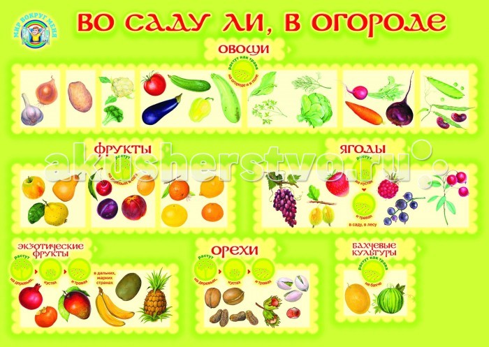 Маленький гений Плакат Во саду ли, в огородеПлакат Во саду ли, в огороде Маленький гений Плакат Во саду ли, в огородеПлакат Во саду ли, в огородеМаленький гений Плакат Во саду ли, в огороде. Обучающие плакаты - незаменимый наглядный материал для увлекательного изучения окружающего мира, математики, русского языка. Благодаря логичной структуре плакатов ребенок легко запоминает информацию. Знания подаются наглядно и обобщенно, в доступной и привлекательной форме. В каждом плакате есть игры и вопросы для детей и рекомендации дня взрослых.<br>