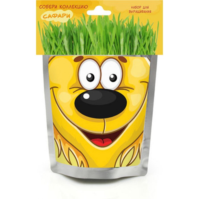 Happy Plant Набор для выращивания ЛьвенокНабор для выращивания Львенок Happy Plant Набор для выращивания ЛьвенокНабор для выращивания ЛьвенокHappy Plant Набор для выращивания Львенок - это интересный и полезный набор для выращивания позволит взрастить овес. Особенности: В каждом доме будет не лишним содержать любое растение. Понравится любителям природы и тем, кто любит ухаживать за растениями. Ребенок воочию увидит принцип взращивания растений, а взрослый, обладая достаточными навыками, сможет применить созревшее растение в пищу. Сама упаковка очень позитивная и забавная. Этот львенок настолько полон радости, что сам пакет вот-вот лопнет от позитива. К набору прилагается инструкция, так что никаких проблем возникнуть не должно. В наборах серии - овес, который вырастает очень быстро, травка получается плотная, густая, зеленая, красивая уже через 3 дня. Детям очень нравится делать прическу своему зеленому питомцу: травку можно подстригать ножницами, создавать разные формы, можно завязывать резинками хвостики, можно даже заплетать зеленые косички!<br>