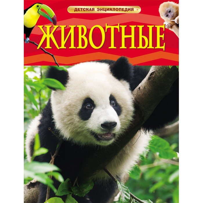 http://www.akusherstvo.ru/images/magaz/im138770.jpg