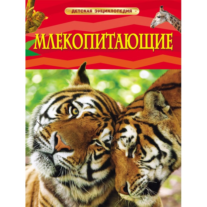 http://www.akusherstvo.ru/images/magaz/im138782.jpg