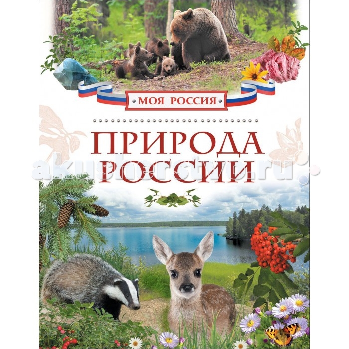 Росмэн Детская энциклопедия Природа РоссииДетская энциклопедия Природа России Росмэн Детская энциклопедия Природа РоссииДетская энциклопедия Природа РоссииДетская энциклопедия Природа России раскрывает красоту и богатство природы нашей страны. Юный читатель познакомится с морями и океанами, озёрами и реками России, узнает о равнинах и горах, вулканах и гейзерах. Ему будет интересна информация о специфике российского климата и погоды, о проблемах охраны природы и уникальных заповедных местах. А цветные иллюстрации помогут ребёнку запомнить животных и растения разных природных зон. Количество страниц: 80 Размеры книги: 27 х 20 x 0.8 см<br>
