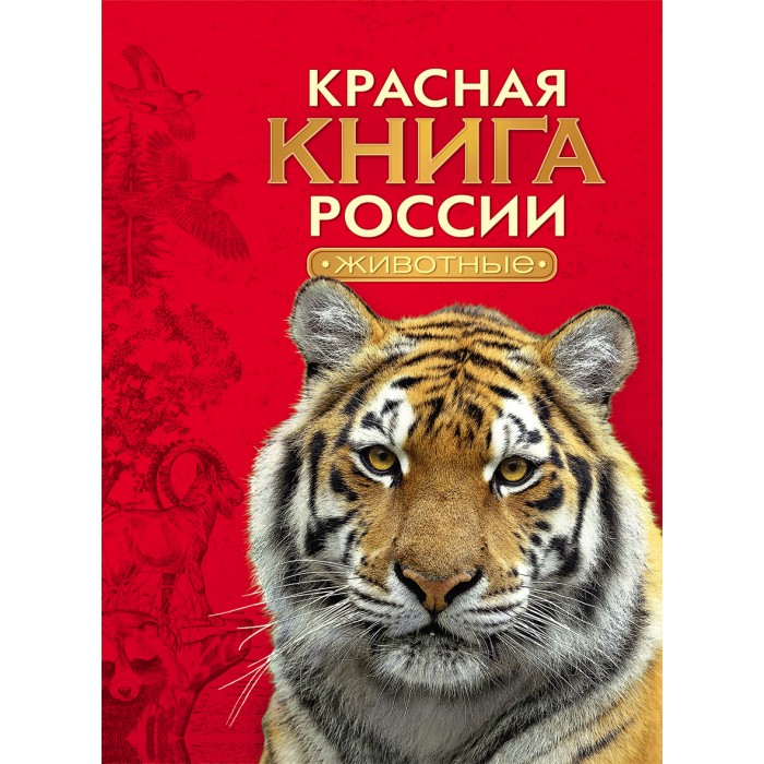 Росмэн Красная книга России ЖивотныеКрасная книга России Животные Росмэн Красная книга России ЖивотныеКрасная книга России ЖивотныеКрасная книга России Животные содержит обширную информацию о редких и исчезающих животных. В ней рассмотрены особенности их распространения, экологии, происхождения, причины сокращения численности и меры охраны. Самостоятельный интерес в книге представляют превосходные иллюстрации. Это издание поможет в изучении зоологии в школе, пригодится для подготовки при поступлении в вуз. В качестве справочника оно подойдет специалистам в области охраны природы. Количество страниц: 240 Размеры книги: 28 х 22 x 18 см<br>
