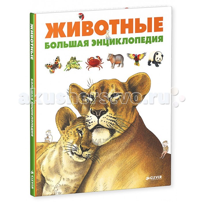 http://www.akusherstvo.ru/images/magaz/im147071.jpg