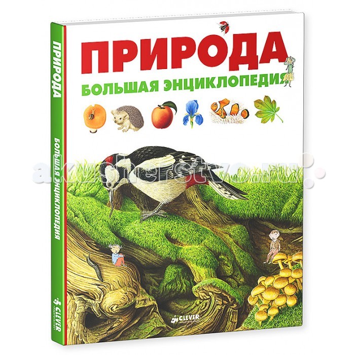 полная энциклопедия очищения организма т а федосеева полная энциклопедия очищения организма т а федосеева