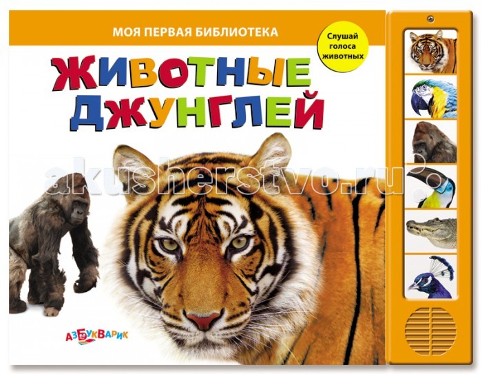 Азбукварик Животные джунглейЖивотные джунглей Азбукварик Животные джунглейЖивотные джунглейЭта познавательная книга с яркими фотографиями просто и доступно раcскажет о животных джунглей. На модуле с шестью кнопками записаны реалистичные звуки.<br>