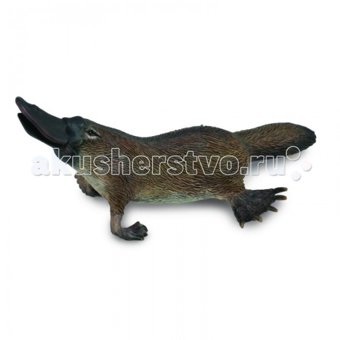 http://www.akusherstvo.ru/images/magaz/im16990.jpg