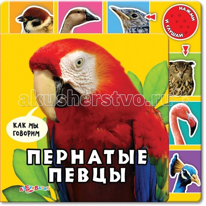 http://www.akusherstvo.ru/images/magaz/im170380.jpg