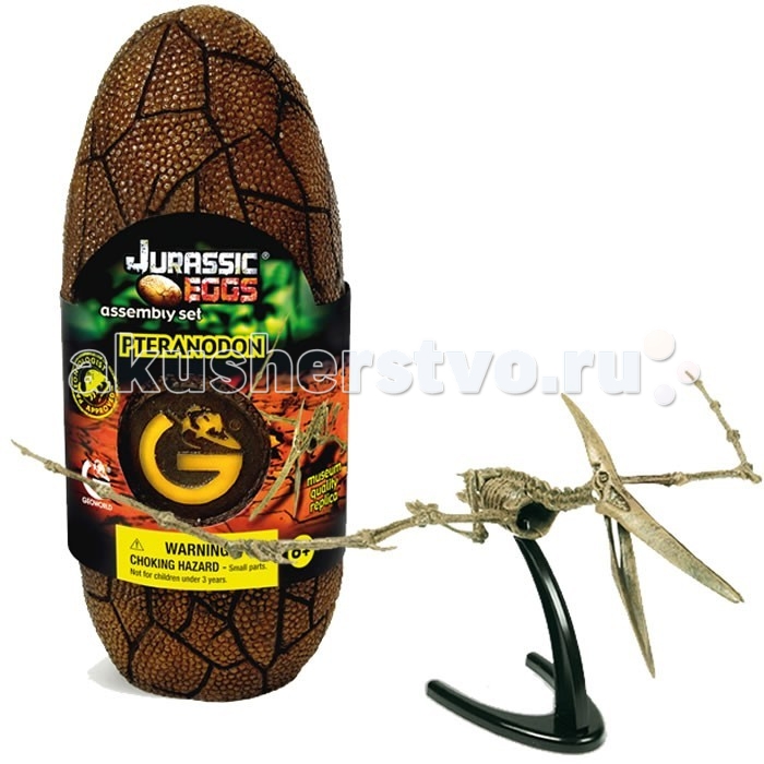 Конструктор Geoworld Сборная модель динозавра в яйце Jurassic eggs - Птеранодон 13 деталейСборная модель динозавра в яйце Jurassic eggs - Птеранодон 13 деталей Конструктор Geoworld Сборная модель динозавра в яйце Jurassic eggs - Птеранодон 13 деталейСборная модель динозавра в яйце Jurassic eggs - Птеранодон 13 деталейВнутри этого стилизованного яйца динозавра находится качественная сборная модель. Она иллюстрирует скелет вымершего летающего ящера — птеранодона. Модель ребенок сможет с легкостью собрать своими руками из 13 предварительно окрашенных деталей, которые похожи на части настоящего скелета. Модель настолько качественная, что приравнивается к музейному экспонату. В собранном виде эта необычная модель скелета птеранодона станет оригинальным сувениром. У модели имеется подставка, которая позволяет собрать скелет в летящей позе с распахнутыми крыльями. Основные характеристики: Размер коробки: 7.5 х 19.5 х 7 см Длина собранной модели: 48 см Количество деталей: 13 шт.<br>