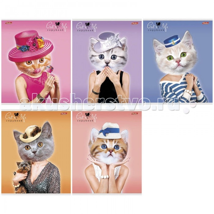 Hatber Тетрадь Cats life А5 (48 листов)Тетрадь Cats life А5 (48 листов) Hatber Тетрадь Cats life А5 (48 листов)Тетрадь Cats life А5 (48 листов)Hatber Тетрадь Cats life А5 (48 листов, клетка) станет отличным дополнением к комплекту школьных принадлежностей для вашего ребенка. Модель отличается оригинальным дизайном и высоким качеством используемых материалов. Особенности: Обложка тетради выполнена из мелованного картона, а внутренний блок из плотной бумаги Разлиновка четкая и яркая, имеются тетрадные поля Тип крепления скрепка. Тетради в ассортименте.<br>