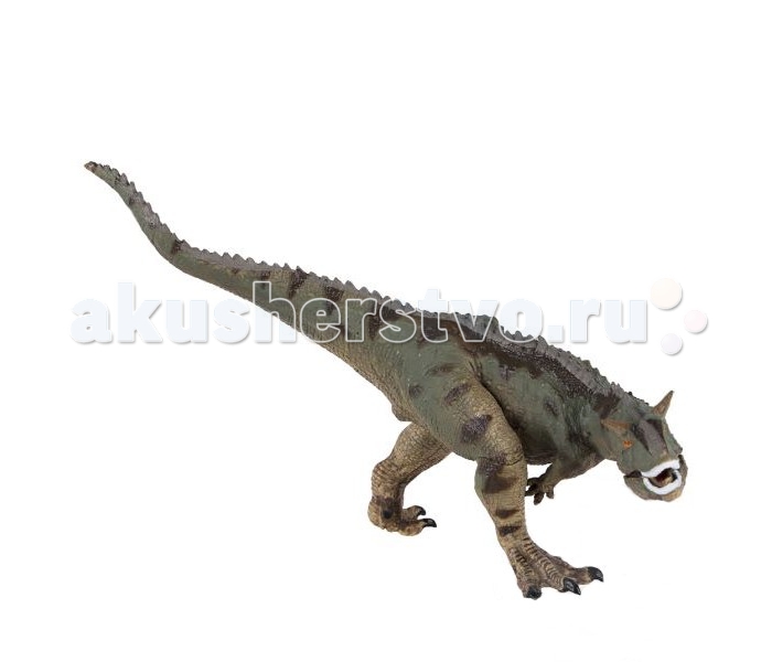 Dinosaur Family Динозавр КарнотаврДинозавр Карнотавр Dinosaur Family Динозавр КарнотаврДинозавр КарнотаврDinosaur Family Динозавр Карнотавр входит в группу динозавров, называемых карнозаврами. В эту же группу входят самые знаменитые и кровожадные хищные ящеры (тиранозавр, тарбозавр, аллозавр и др). У всех карнозавров огромная голова и коротенькие передние конечности. Но карнотавр имеет некоторые отличительные особенности. Среди сородичей его выделяют рожки, находившиеся над глазами. Карнотавр весил как автомобиль и был ростом как слон. Он бегал на двух ногах. При движении, длинный и мускулистый хвост помогал карнотавру сохранять равновесие. Хвост служил противовесом массивной голове. Благодаря этому он мог вытягивать шею вперед, не опасаясь упасть Реалистичная фигурка изготовлена из высококачественного пластика. Размер: 14 х 12 см<br>