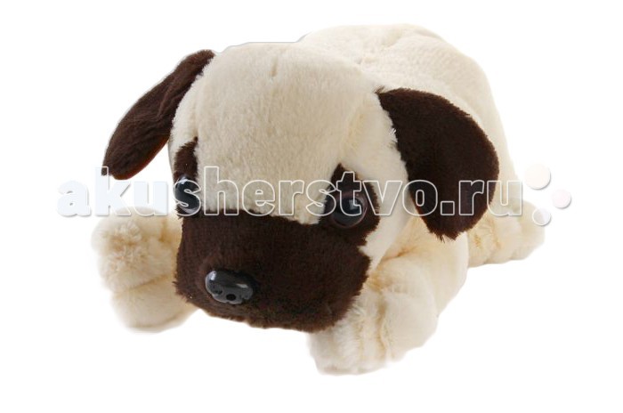    Fluffy Family   - Fluffy Family     .    :        ,    .      . ,         ,   ,    .            .        .     .     .   : 10  .  : 25 .     3    (   ).<br>