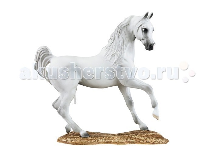 Breyer Лошадь Арабской породыЛошадь Арабской породы Breyer Лошадь Арабской породыЛошадь Арабской породыСкульптура лошади Арабской породы из серии Породы мира создана мастерами компании Breyer. На данный момент продукты компании Breyer являются самыми реалистичными копиями лошадей благодаря точности линий, проработке мелких деталей и ручной росписи. Все это позволяет сделать каждую лошадь особенной и абсолютно не похожей на других. Эта модель арабского скакуна на подставке станет настоящим подарком для всех коллекционеров и поклонников бренда Breyer. Арабская - одна из старейших пород лошадей, оказавшая огромное влияние на формирование и развитие практически всех известных ныне культурных пород лошадей. Порода была выведена бедуинами в пустыне ок. X века н.э., и со временем получила широкое распространение по всему миру благодаря своим изящным формам- курносый профиль, лебединая шея и высоко поставленный хвост позволят отличить ее среди сотен других пород даже тем людям, кто далек от коневодства и конного спорта. По легенде, Аллах создал ее, сгустив ветер, и сказал такие слова: Я называю тебя арабским конем, и подвешиваю блаженство к твоей гриве, ниспадающей у тебя между глаз. Ты будешь господином, властителем над другими животными. Люди последуют за тобой, куда бы ты ни направился. Ты обретешь способность летать без крыльев и будешь равно хорош как в наступлении, так и в бегстве. Ты будешь носить на спине несметные сокровища и создашь огромные состояния. Так и случилось: арабские лошади во все времена высоко ценились и были элементом престижа и высокого статуса. Резвость, выносливость и неприхотливость сделали ее идеальной лошадью для дистанционных пробегов, а удивительная красота - востребованной в выездке и различных шоу. Размер лошади Д х В - 14.6 х 12.7 см Лошадь упакована в подарочную закрытую коробку. Изготовлена из скульптурного пластика, абсолютно безопасна в использовании.<br>