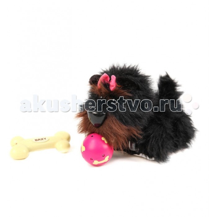 http://www.akusherstvo.ru/images/magaz/im41090.jpg