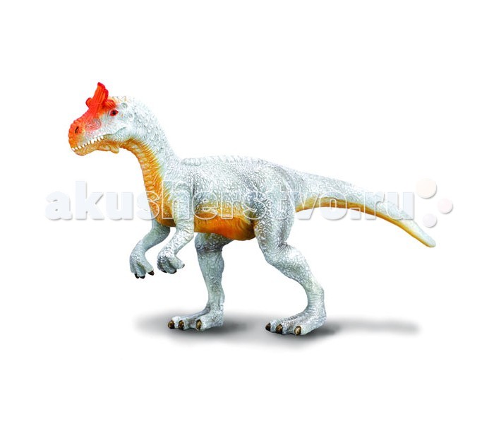 Gulliver Collecta Фигурка Криолофозавр 12 смCollecta Фигурка Криолофозавр 12 см Gulliver Collecta Фигурка Криолофозавр 12 смCollecta Фигурка Криолофозавр 12 смGulliver Collecta Фигурка Криолофозавр является уменьшенной копией настоящего криолофозавра. Особенности: Даже если криолофозавр не царь динозавров, корону у него никто не отнимет. А большой хвост, сильные лапы и белозубая улыбка внушат любому еще большее уважение к этому благородному животному. Декоративная фигурка станет изысканным и уникальным сувениром, и понравится как детям, так и их родителям. Фигурка изготовлена из высококачественной пластмассы и раскрашены вручную.<br>