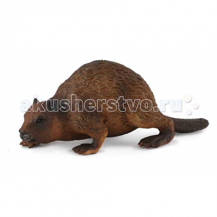 Gulliver Collecta Фигурка БоберCollecta Фигурка Бобер Gulliver Collecta Фигурка БоберCollecta Фигурка БоберGulliver Collecta Фигурка Бобер является уменьшенной копией настоящего бобра. Кажется, что игрушка вот - вот оживет. Особенности: Все детали тщательно проработаны, что способствует развитию воображения и тактильных ощущений у ребёнка во время игры. Декоративная фигурка станет изысканным и уникальным сувениром, и понравится как детям, так и их родителям. Фигурка изготовлена из высококачественной пластмассы и раскрашены вручную.<br>