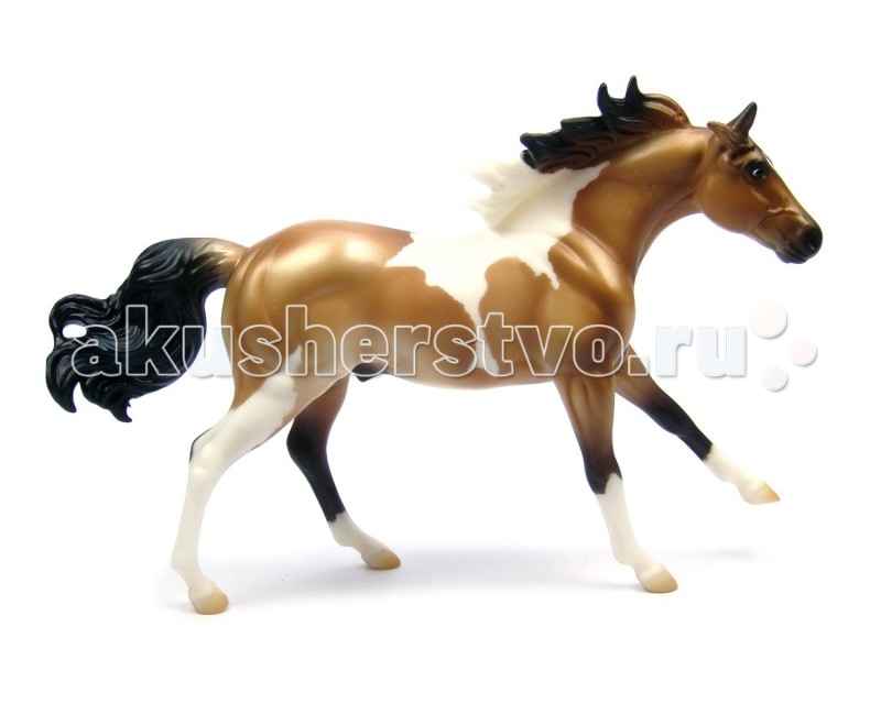 Breyer Лошадь пейнт буланыйЛошадь пейнт буланый Breyer Лошадь пейнт буланыйЛошадь пейнт буланыйВсе лошади серии Classic являются игровыми моделями. Данная серия познакомит ребенка с многообразием лошадиных пород и мастей. На данный момент продукты компании Breyer являются самыми реалистичными копиями лошадей благодаря точности линий, проработке мелких деталей и ручной росписи. Все это позволяет сделать каждую лошадь особенной и абсолютно не похожей на других. Модель лошади Пейнт буланый познакомит ребенка с интересным американским типом лошадей-пейнтом (англ. paint- расписной, раскрашенный). У американцев есть два слова для именования лошадей пегой масти - пейнт и пинто, Это две группы, два типа, на которых они делят всех пегих, ведется даже регистрация и племенные книги. Но если пинто - это практически любая пегая лошадь, то к пейнтам традиционно относятся только лошади породы квотерхорс (или четвертьмильная) и чистокровные. Все прочие - пинто. Пегая масть предпогает белые пятна разных форм и размеров, хаотично разбросанные по основному цвету. Основная масть может быть любая- начиная от простых вариантов типа гнедой и рыжей и заканчивая более экзотическими соловой или буланой. Модель этой лошади как раз булано-пегая, т.е. по буланой масти (песочное тело, черные грива и хвост и ноги до колена) раскиданы белые пятна. Пегие лошади обычно смотрятся очень ярко и нарядно, особенно в сочетании с необычной основной мастью, в чем можно убедиться, глядя на эту модель. Рекомендовано детям от 4 лет. Масштаб 1:12 Размеры лошади ДхВ - 23 х 15 см Лошадь упакована в красивую коробку. Изготовлена из высококачественного материала, абсолютно безопасна в использовании, рекомендована детям от 4-х лет.<br>