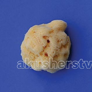 http://www.akusherstvo.ru/images/magaz/im46938.jpg