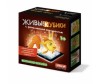 Развивающая игрушка Стеллар Живые кубики с дополненной реальностью №302 4 шт.