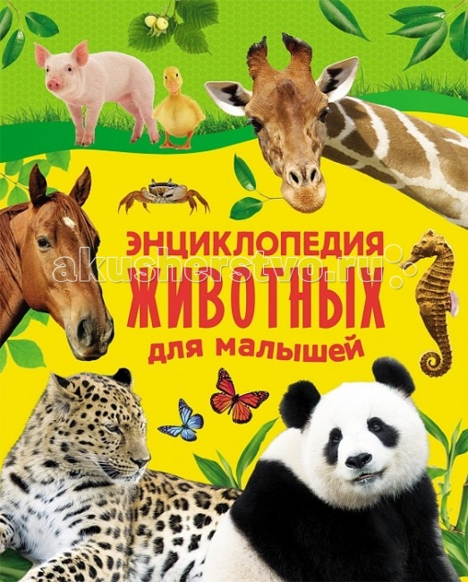 Росмэн Энциклопедия животных для малышейЭнциклопедия животных для малышей Росмэн Энциклопедия животных для малышейЭнциклопедия животных для малышейРосмэн Энциклопедия животных для малышей, ориентированна на детей дошкольного возраста, в увлекательной форме рассказывается о различных животных: диких и домашних, морских и самых необычных. Ребенок узнает много интересного о повадках животных, среде обитания и особенностях воспитания детенышей. Яркие иллюстрации, забавные рисунки, простые и понятные тексты. Книга станет настоящим подарком для любознательного малыша. Страниц: 144 Размеры: 265 х 210 x 15 мм<br>