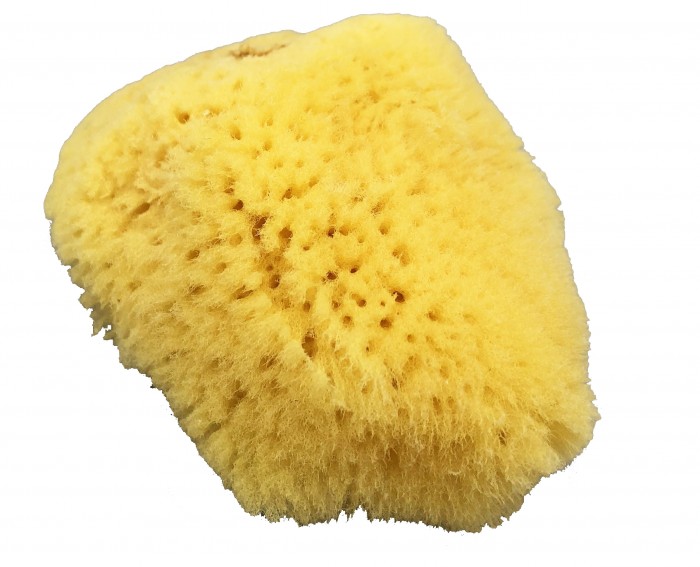 http://www.akusherstvo.ru/images/magaz/im59536.jpg