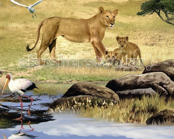  Ravensburger     - 1000  - Ravensburger    - 1000     - 1000      -     Ravensburger  -   !     AR-   !      iPhone  iPad   App AR Puzzle      .        ,     .    : 1000  : 70 x 50   : 37  6  27  :   ,    .<br>