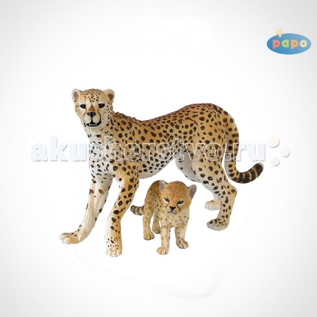  Papo       - Papo           50044   .   Papo     ,     .  :   .        ,  85-95 .      2  6 .      ,         20 .       8 .     ,     .<br>