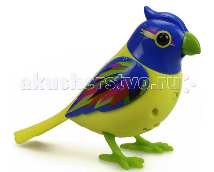 http://www.akusherstvo.ru/images/magaz/im64990.jpg