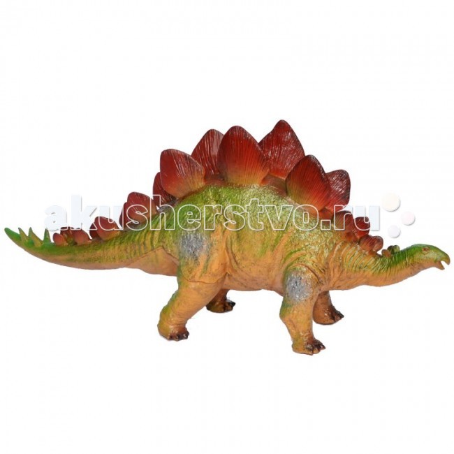 Megasaurs (HGL) Фигурка динозавра СтегозаврФигурка динозавра Стегозавр Megasaurs (HGL) Фигурка динозавра СтегозаврФигурка динозавра СтегозаврMegasaurs (HGL) Фигурка динозавра - Стегозавр - фигурка динозавра от компании HGL воспроизводит облик Стегозавра, как его представляет современная наука. Фигурка очень детально проработана: видны складки на коже, легко читается ее фактура, тщательно детализирована морда и пластины на спине. Фигурка очень реалистично окрашена, так что кажется совершенно живой. Длина игрушки составляет около 45 сантиметров. Стегозавр - динозавр юрского периода. Представитель птицетазовых динозавров - тиреофор. Стегозавр - самый крупный представитель группы стегозавров. В его честь получила название эта группа динозавров. Мозг стегозавра был очень маленьким, размером с грецкий орех. Питался низкорослой растительностью. Хотя есть предположения, что благодаря мощным задним лапам, которые были значительно больше передних, он на короткий промежуток времени мог вставать на них, чтобы дотянуться до растительности повыше. Характерной чертой всех стегозавров являются ромбовидные пластины разного размера. На хвосте стегозавра имелись 4 мощных заостренных костяных шипа. Длина шипов, по разным данным, была от 60 см до 1 м. Не смотря на то, что стегозавр был достаточно миролюбивым существом, он был хорошо защищен. Все тело стегозавра было усеяно многочисленными костными наростами, которые располагались даже у горла. С этими игрушками можно разыграть разнообразные игровые сюжеты, связанные с Юрским периодом, в котором жили одни динозавры.<br>