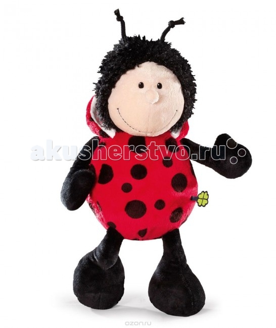   Nici    35  - Nici   35   Nici        .           ,           .       ,        .        .                .<br>