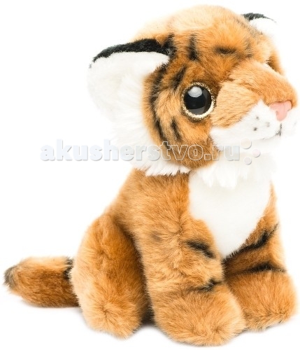 http://www.akusherstvo.ru/images/magaz/im69649.jpg