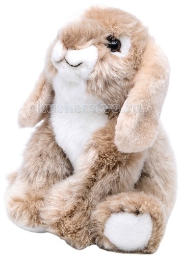 http://www.akusherstvo.ru/images/magaz/im69669.jpg