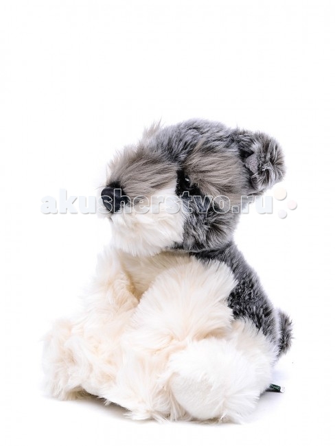 http://www.akusherstvo.ru/images/magaz/im69678.jpg