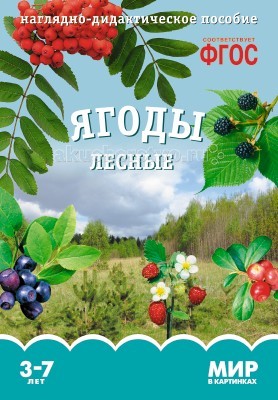 Мозаика-Синтез Мир в картинках Ягоды лесныеМир в картинках Ягоды лесные Мозаика-Синтез Мир в картинках Ягоды лесныеМир в картинках Ягоды лесныеМозаика-Синтез ФГОС Мир в картинках Ягоды лесные. Наглядно-дидактическое пособие Ягоды лесные серии Мир в картинках, предназначенное для групповых и индивидуальных занятий с детьми 3–7 лет в детском саду и дома, познакомит детей с земляникой, ежевикой, черникой и другими лесными ягодами. На оборотной стороне карточек содержатся познавательные сведения, которые будут интересны и детям, и взрослым. Прочитав описание, взрослый сможет пересказать его в той форме и том объеме, которые соответствуют возрасту и уровню развития детей. Наглядный материал может быть использован на занятиях по ознакомлению с окружающим миром, для развития речи и мышления.<br>