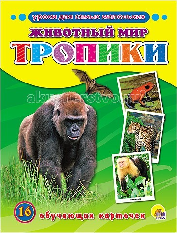 http://www.akusherstvo.ru/images/magaz/im72341.jpg