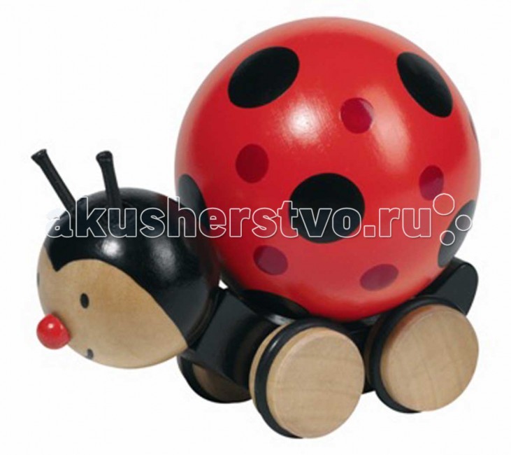 http://www.akusherstvo.ru/images/magaz/im74466.jpg