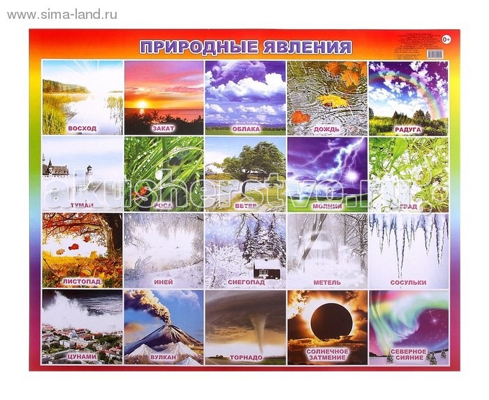 Алфея Плакат Природные явленияПлакат Природные явления Алфея Плакат Природные явленияПлакат Природные явленияАлфея Плакат Природные явления поможет вашему ребенку не просто запомнить изображение, название или характерные особенности, но и укажет вам направление для бесед, совместной деятельности и развития малыша (его речи, мышления, памяти).<br>