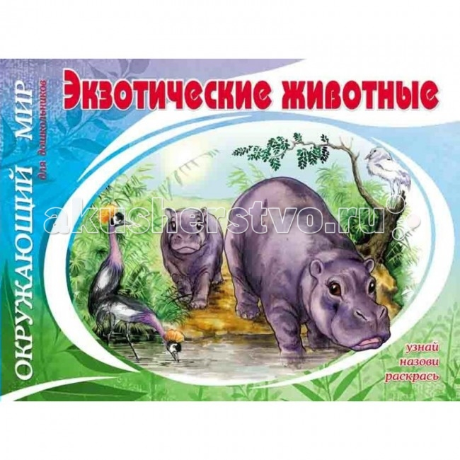 Раскраска ДетИздат