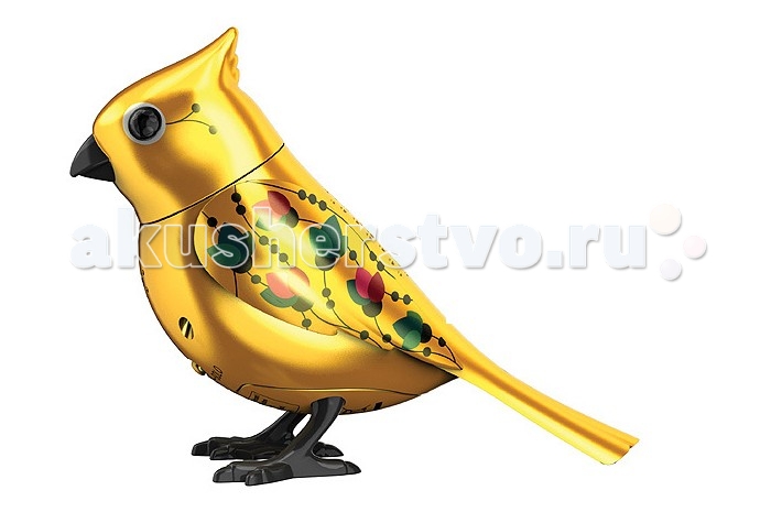 http://www.akusherstvo.ru/images/magaz/im82270.jpg