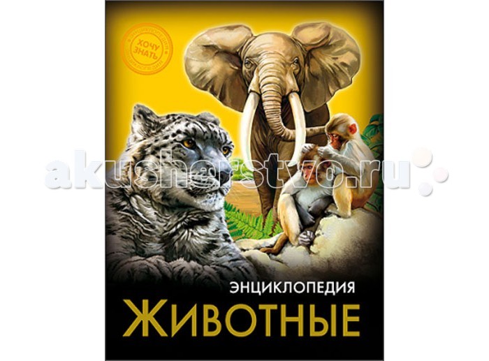 Проф-Пресс Энциклопедия. Хочу знать ЖивотныеЭнциклопедия. Хочу знать Животные Проф-Пресс Энциклопедия. Хочу знать ЖивотныеЭнциклопедия. Хочу знать ЖивотныеПроф-Пресс Энциклопедия. Хочу знать Животные. Из данной энциклопедии ребёнок сможет узнать много интересной и полезной информации о животных. В книге приводится множество удивительных фактов и красочных иллюстраций. Данная энциклопедия станет отличным подарком, с помощью которого ребенок, да и взрослые, смогут расширить свой кругозор и осознать необходимость бережного отношения к природе, сохранение многообразия которой во многом зависит от действий человека.<br>